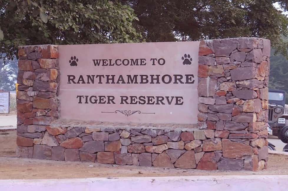 From Jaipur: Praivte Ranthambore Tour By Jeep Canter Safari - The guided safari moment: naturalists, forest guides, and reading the park
