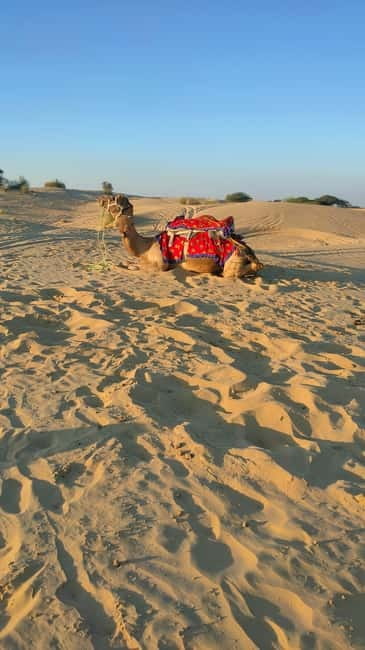 From Jaipur : Private Ajmer Pushkar Tour by Cab - The Big Question: Does the Private Timing Feel Worth It?