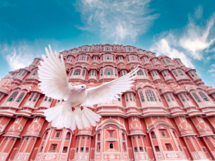From Jaipur: Private Amber Fort, Jal Mahal and More Car Tour - Key highlights you’ll feel immediately