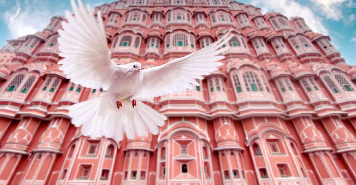 From Jaipur: Private Amber Fort, Jal Mahal and More Car Tour - Jantar Mantar: when astronomy becomes architecture