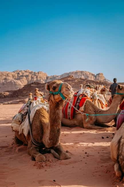 From Jaipur: Pushkar and Ajmer Private Day Trip - Jaipur to Pushkar to Ajmer: How the 11-Hour Day Works