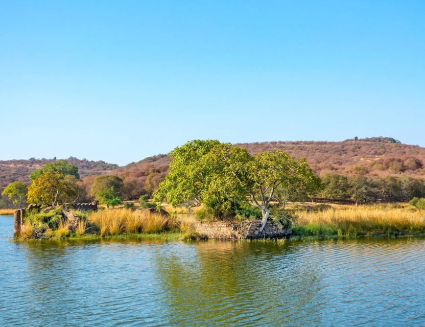 From Jaipur: Ranthambore Tour with Cab - Open-vehicle comfort: what to bring so the safari doesn’t feel like a test