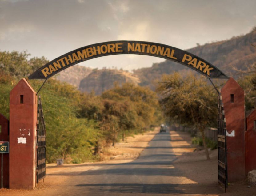 From Jaipur: Ranthambore Tour with Cab - Transport and timing: what can make the day feel smooth or frustrating