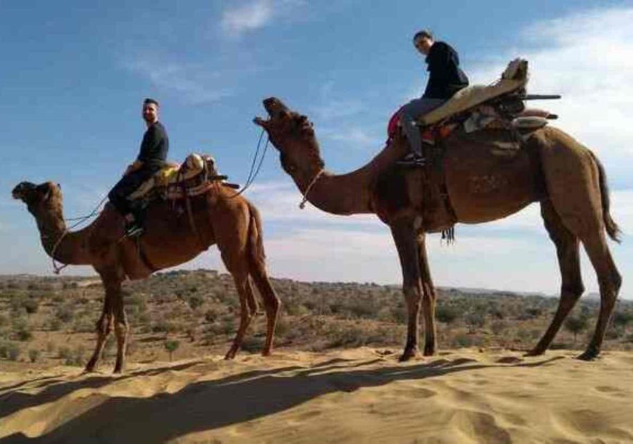 From Jaisalmer: Overnight Camping & Camel Safari in Khuri - Swiss Tent Sleep Under Desert Stars: What Comfort Really Means