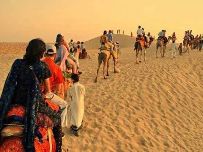 From Jodhpur: Half-Day Tour, Camel Ride, & Dinner in Osian - Should You Book This Tour?
