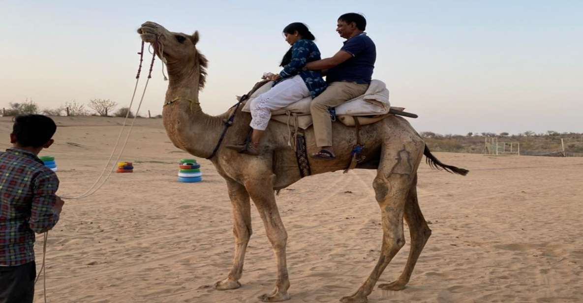 From Jodhpur: Half-Day Tour, Camel Ride, & Dinner in Osian - The Thar Desert Camel Ride: What It Feels Like in Real Time