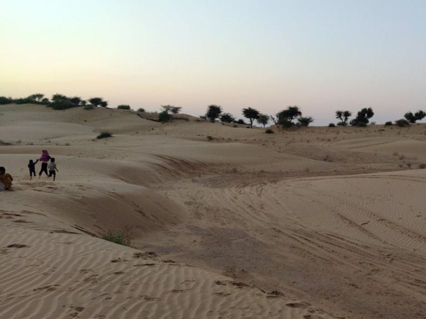 From Jodhpur: Half-Day Tour, Camel Ride, & Dinner in Osian - Rajasthani Dinner After the Desert: Food That Fits the Day