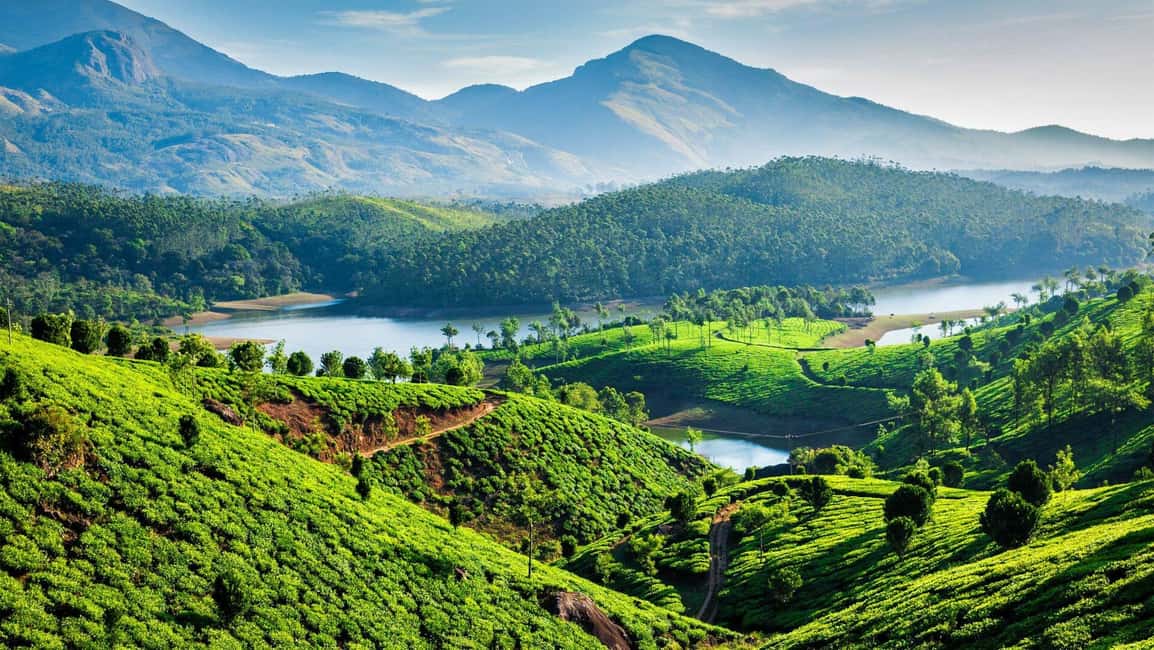 From Kochi: 3-Day Periyar Wildlife Sanctuary Tour - Kochi to Thekkady: the drive that sets expectations