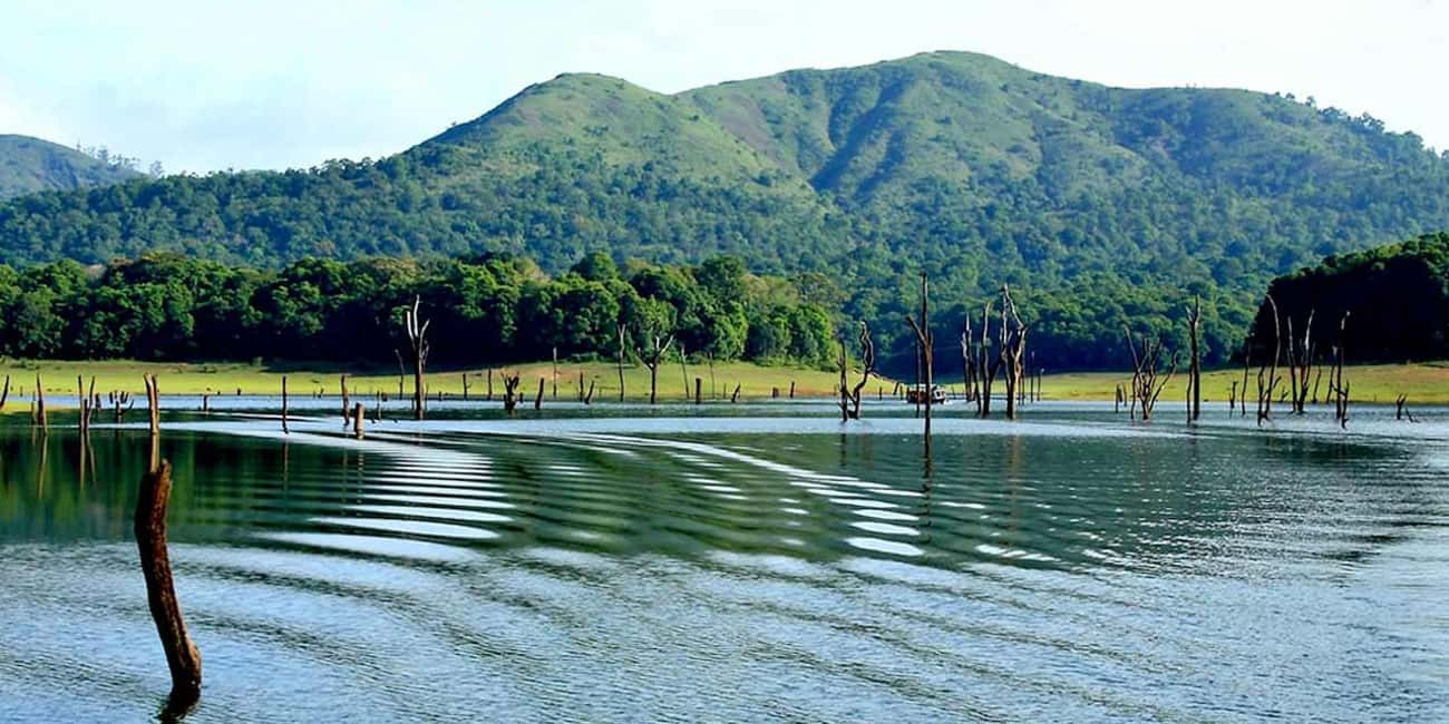 From Kochi: 3-Day Periyar Wildlife Sanctuary Tour - Day 1 in Thekkady: check-in, then choose your evening