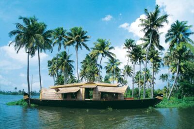 From Kochi: 3-Day Periyar Wildlife Sanctuary Tour - Day 2: jungle safari with elephants and the best chance at surprises