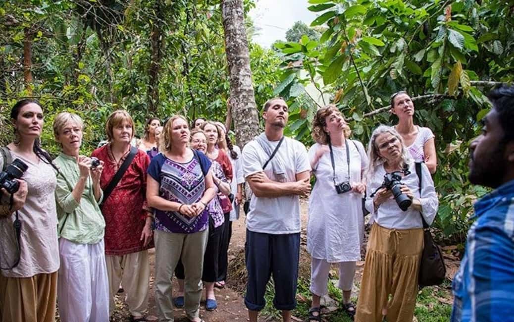 From Munnar: Tea Factory, Plantation, and National Park Tour - Why this 10-hour Munnar tour is a smart use of time