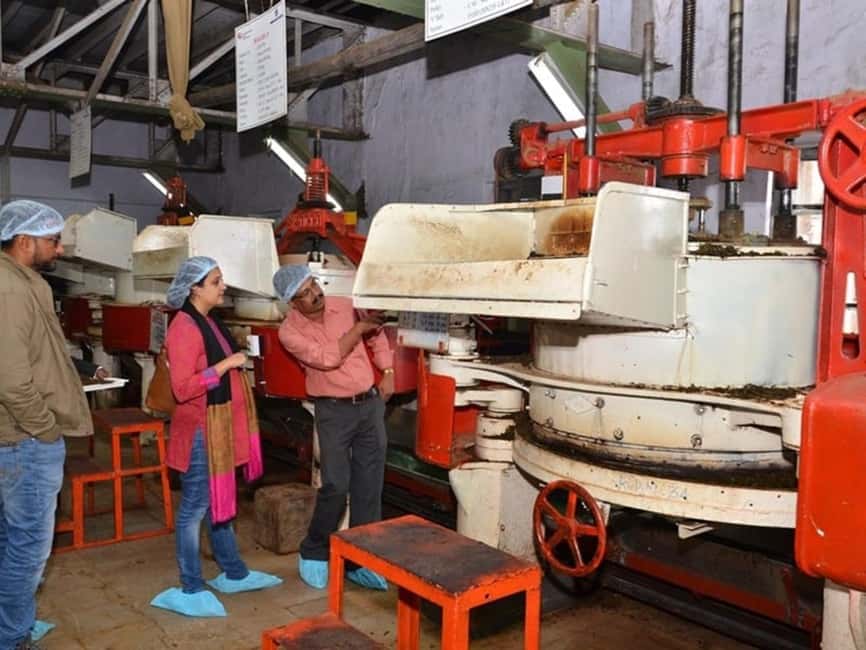 From Munnar: Tea Factory, Plantation, and National Park Tour - Morning pickup and the Jeep rhythm (what the day feels like)