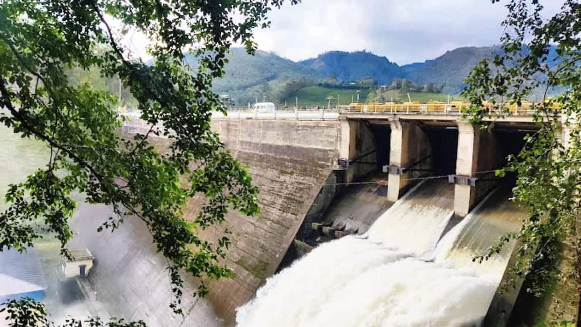 From Munnar: Tea Factory, Plantation, and National Park Tour - Eravikulam National Park for Nilgiri Tahr: the main nature moment