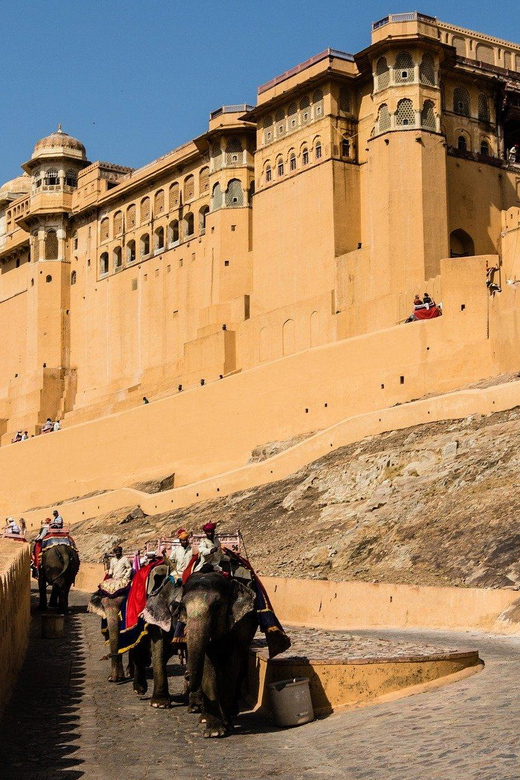 From New Delhi: Jaipur Guided City Tour with Hotel Pickup - The guide and driver team: why communication keeps the day smooth