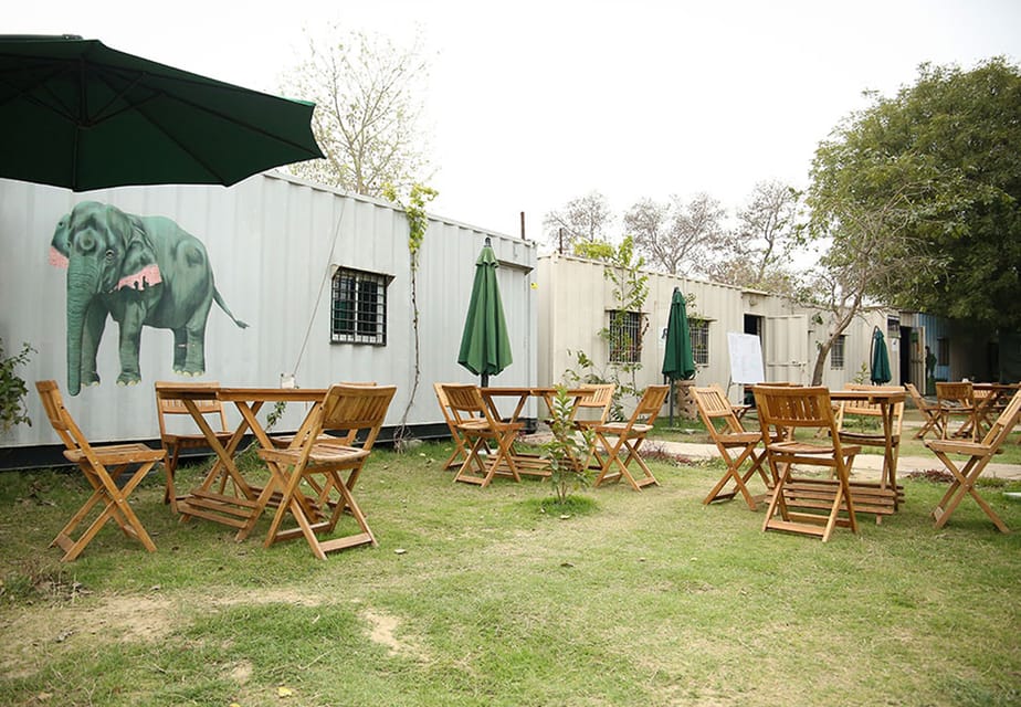 From New Delhi: Taj Mahal and Elephant Conservation Centre - Transportation Comfort: Why a Driver Changes the Whole Day