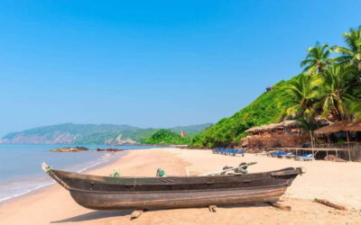 From North Goa: Full Day North Goa Tour with Transportation - Price and logistics: what $36 buys you