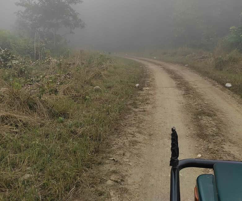 From Rishikesh: Rajaji National Park Half-Day Tour - Who should book this tour, and who should skip it