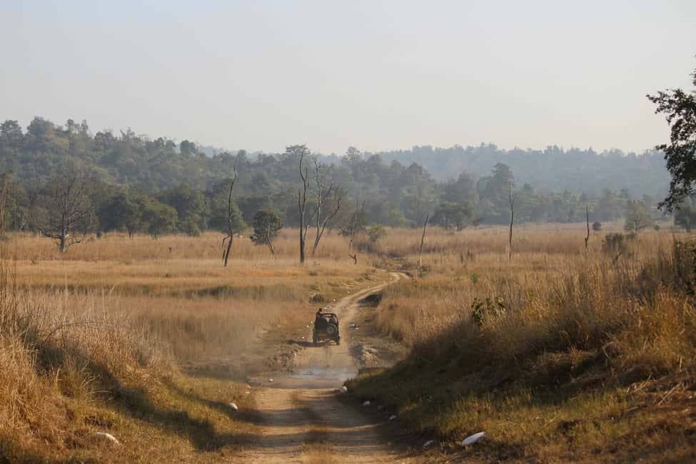 From Rishikesh: Rajaji National Park Half-Day Tour - Breakfast, bottled water, and what to confirm before you go