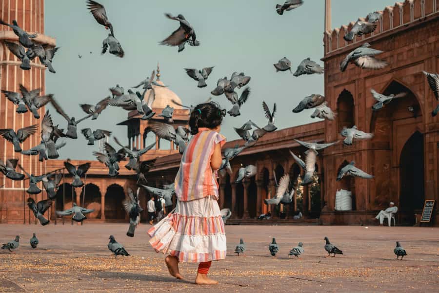 Full Day Tour of Old & New Delhi with India Iconic Red fort - Qutub Minar: the 73-meter Indo-Islamic victory tower moment
