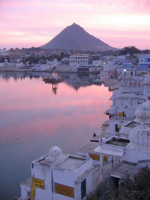 Fullday pushkar tour from jaipur with guid+camel/jeep safari - Midday choices: lunch, temple hopping, and market time