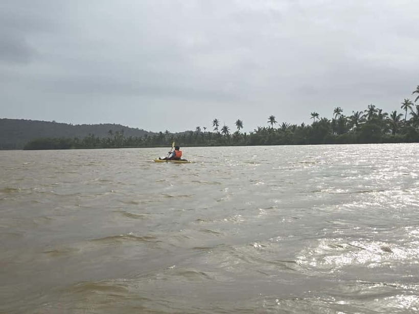 Goa: Backwater Kayaking Tour - Who should book this Chapora tour (and who should skip it)