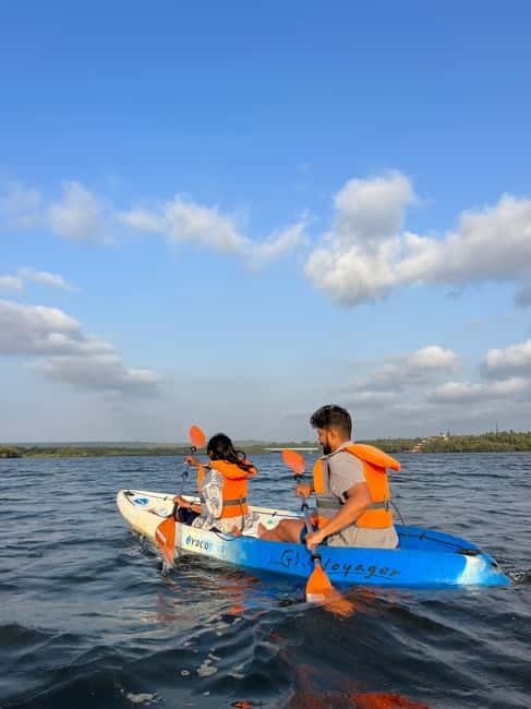 Goa: Backwater Kayaking Tour - The 1-hour kayak stretch through mangroves and bird life