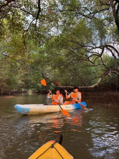 Goa: Backwater Kayaking Tour - From Arabo to the jetty: getting started without stress