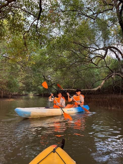 Goa: Backwater Kayaking Tour - From Arabo to the jetty: getting started without stress