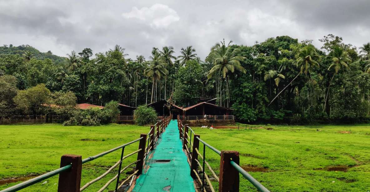 Goa: Spice Plantation Tour and Traditional Local Lunch - Key Takeaways Before You Go