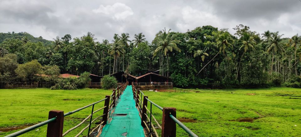 Goa: Spice Plantation Tour and Traditional Local Lunch - Heading South From the Beach: Pickup, Drive, and Ponda Atmosphere
