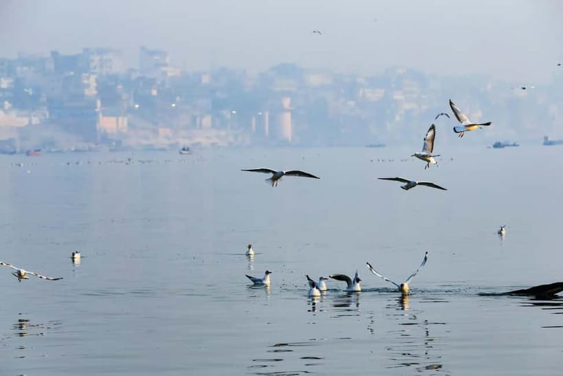 Golden Hour on the Ganges - Sunrise Boat Tour - Placing lamps on the water before the fire worship moment