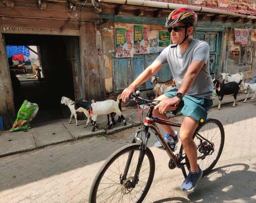 Good Morning Kochi Bicycle Tour - Old trade routes: spice warehouses and colonial streets