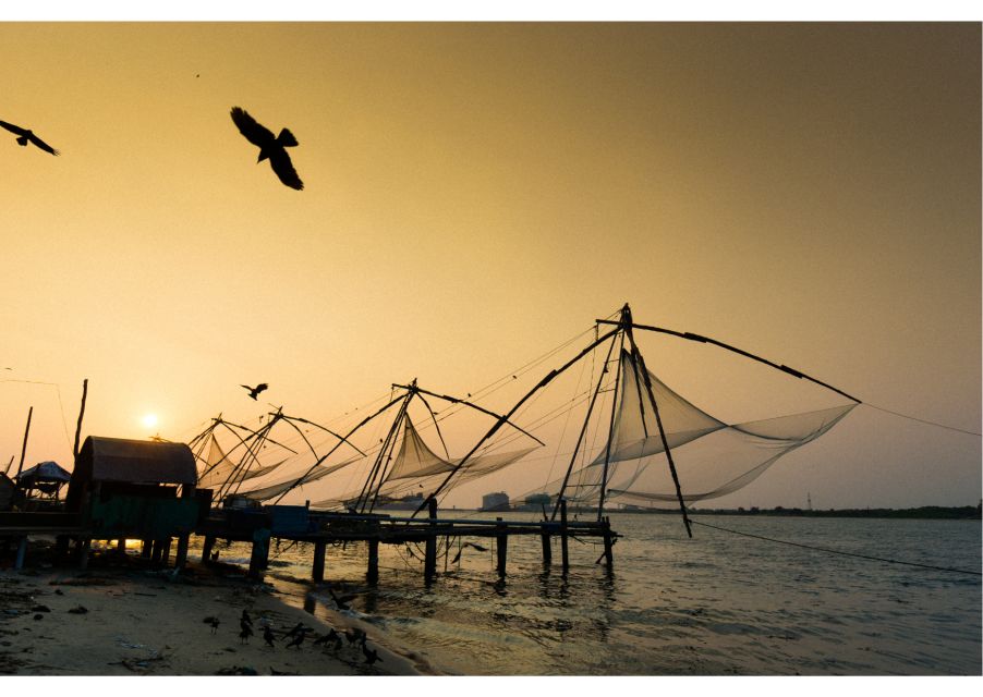Highlights of Kochi, Guided Half-Day Tour by Car - The guide factor: English/Hindi storytelling that saves you from guesswork