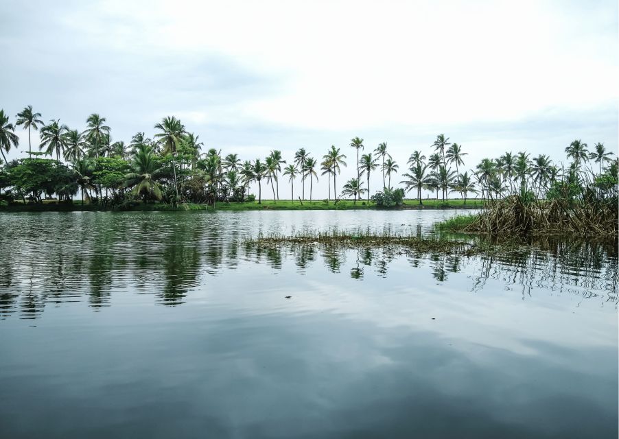 Highlights of Trivandrum (Guided Half Day City Tour by Car) - Sree Padmanabhaswamy Temple: the highlight with real cultural weight