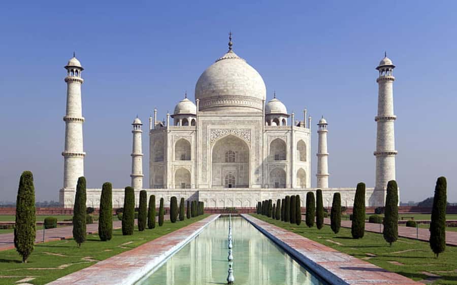 India: Premier High Value Taj Mahal Tickets with Transfers - The Carpet Factory Connection: What to Expect from the Provider