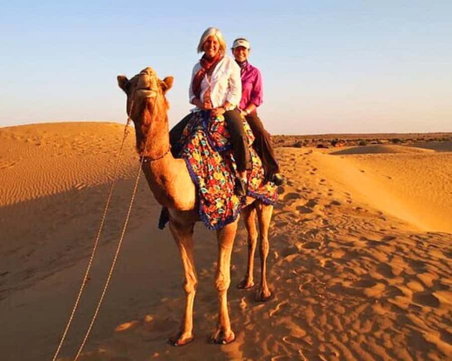 Jaipur: Ajmer & Pushkar Day Trip with Lunch & Camel ride - Key takeaways before you go