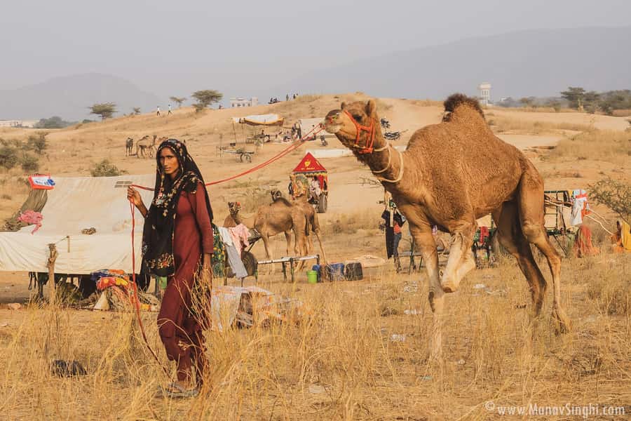 Jaipur: Ajmer & Pushkar Day Trip with Lunch & Camel ride - A full-day Ajmer and Pushkar plan that actually fits