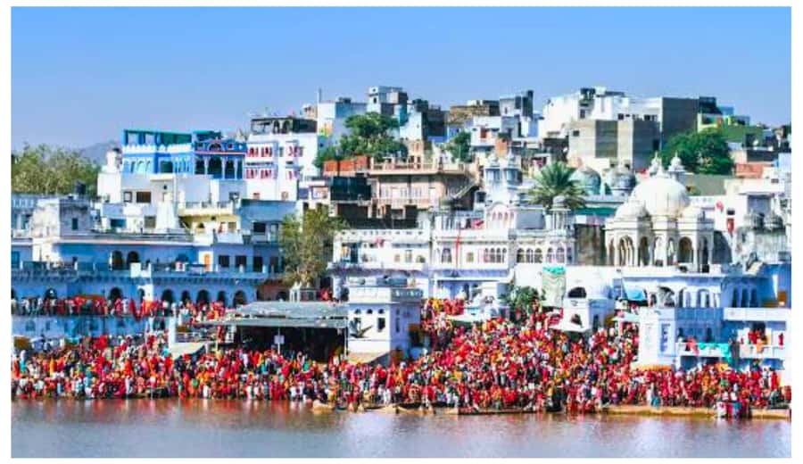 Jaipur: Ajmer & Pushkar Day Trip with Lunch & Camel ride - Pushkar Bazaar: quick, fun shopping without losing the day