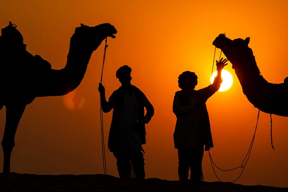Jaipur: City Tour Full-Day Sightseeing with Guide - What $17 gets you: value in the comfort, time, and guidance