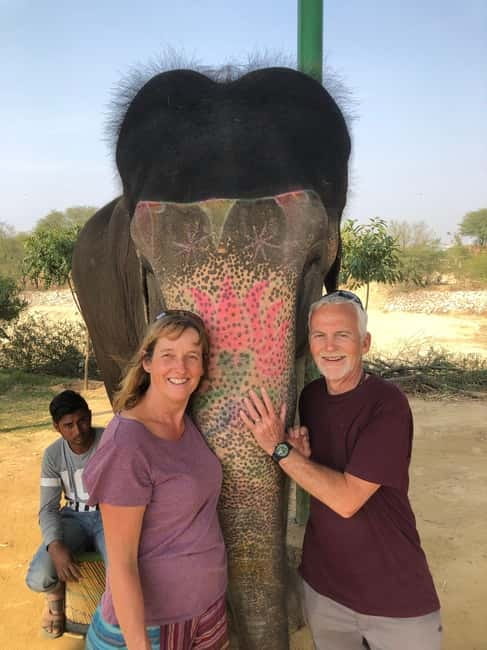 Jaipur: Elephant Interaction Tour - How the Jaipur pickup and Elephant Village timing actually feels