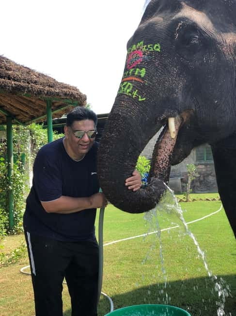 Jaipur: Elephant Interaction Tour - Who this Jaipur elephant sanctuary tour suits best