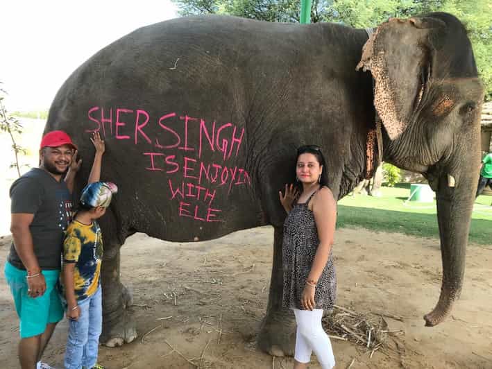 Jaipur: Elephant Interaction Tour - Meeting & introduction: how trust is built before you touch anything