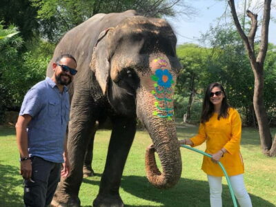 Jaipur: Elephant Interaction Tour - Feeding elephants: the easiest trust-builder with real teaching built in