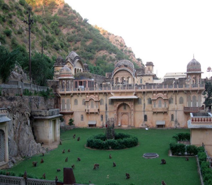 Jaipur: Full-Day City Tour with Camel Ride and Monkey Temple - Morning Pickup, Route Order, and How the Day Will Feel