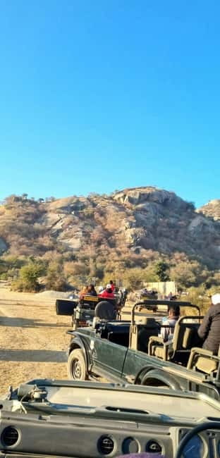 Jaipur: Jhalana Amagarh Leopard Reserve 4×4 Jeep Safari - Real-World Guide and Driver Notes: Who Helps You Most
