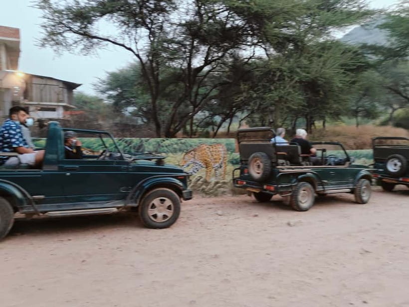 Jaipur: Jhalana Amagarh Leopard Reserve 4×4 Jeep Safari - Photo, Gear, and Comfort: Make Your Safari Easier