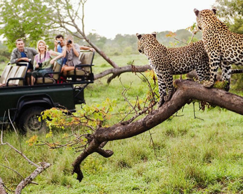 Jaipur: Jhalana/Amargarh Leopard Safari Private Tour - Jhalana Leopard Safari: the main event on a 4x4 gypsy