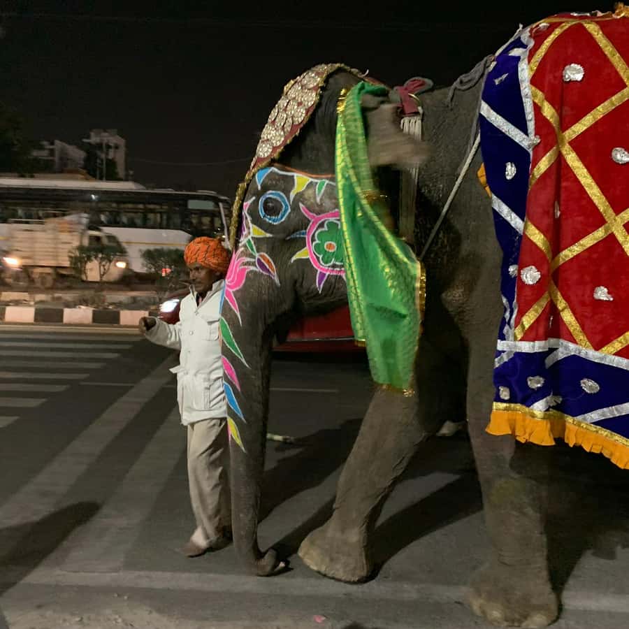 Jaipur: Night Tuk-Tuk Tour With Friendly Local Driver - Price and What You’re Really Getting for $11