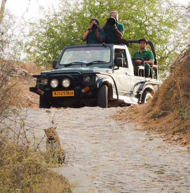 Jaipur: Private Jhalana Leopard Safari Tour - Tips for better sightings: use the guide’s brain, not just your lens