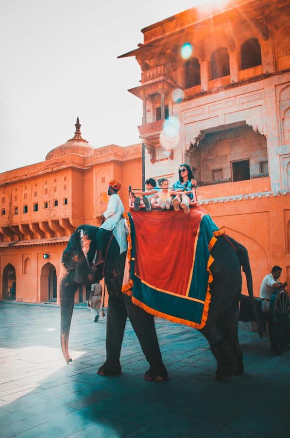 Jaipur: Private PinkCity & Stepwell Heritage Tour with Guide - Price and value: why this feels like a bargain for a private car day